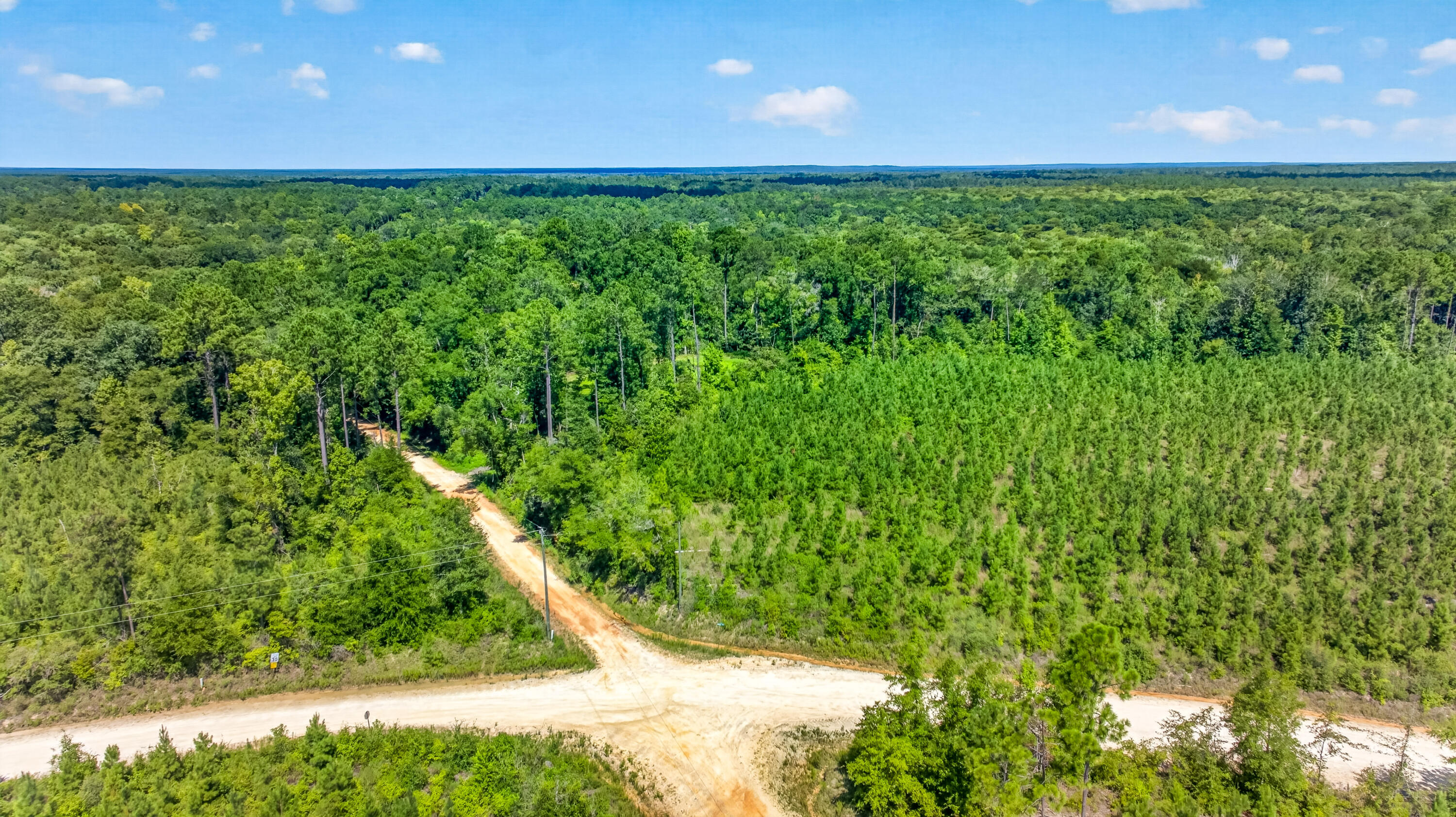 19-acres Potter Spring Road Vernon, FL 32462 - Photo 27 of 28 DJI_0252
