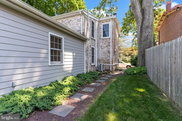 a view of a backyard with plants and large tree