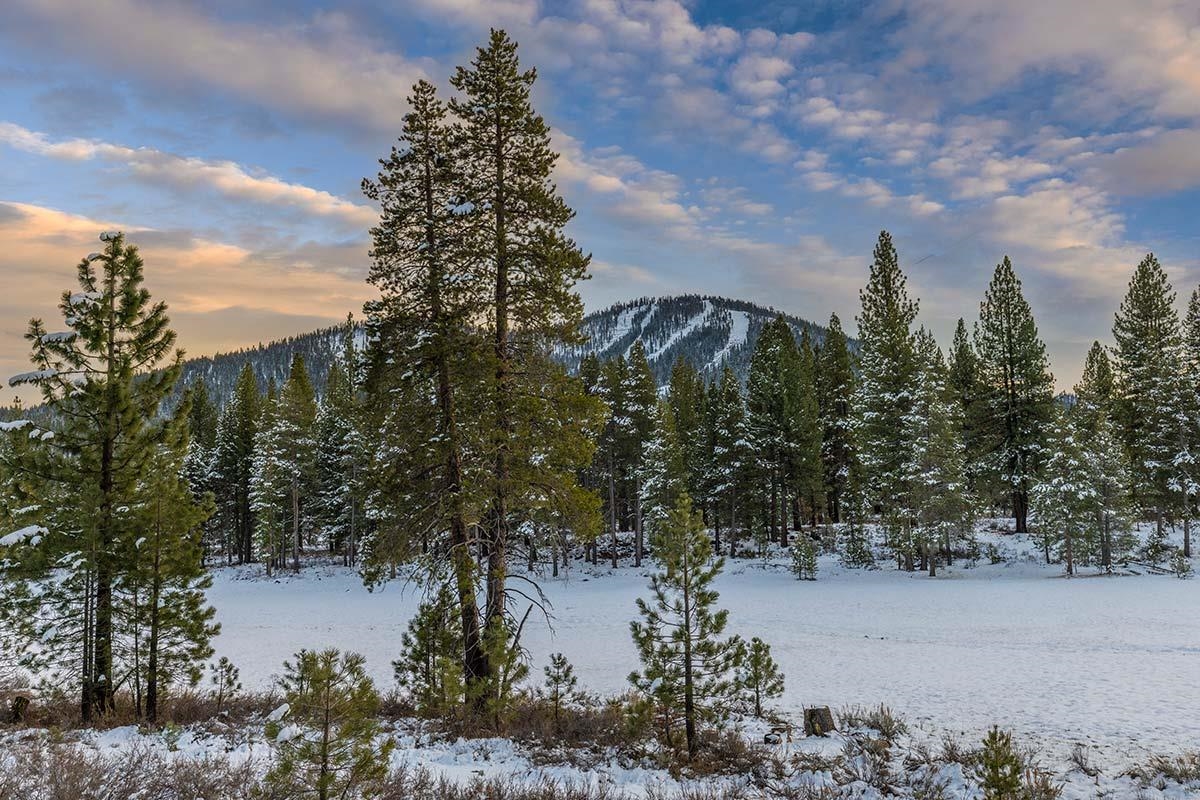 556 Stewart McKay Truckee, CA 96161 - Photo 4 of 21 a view of a lake with a building in the background