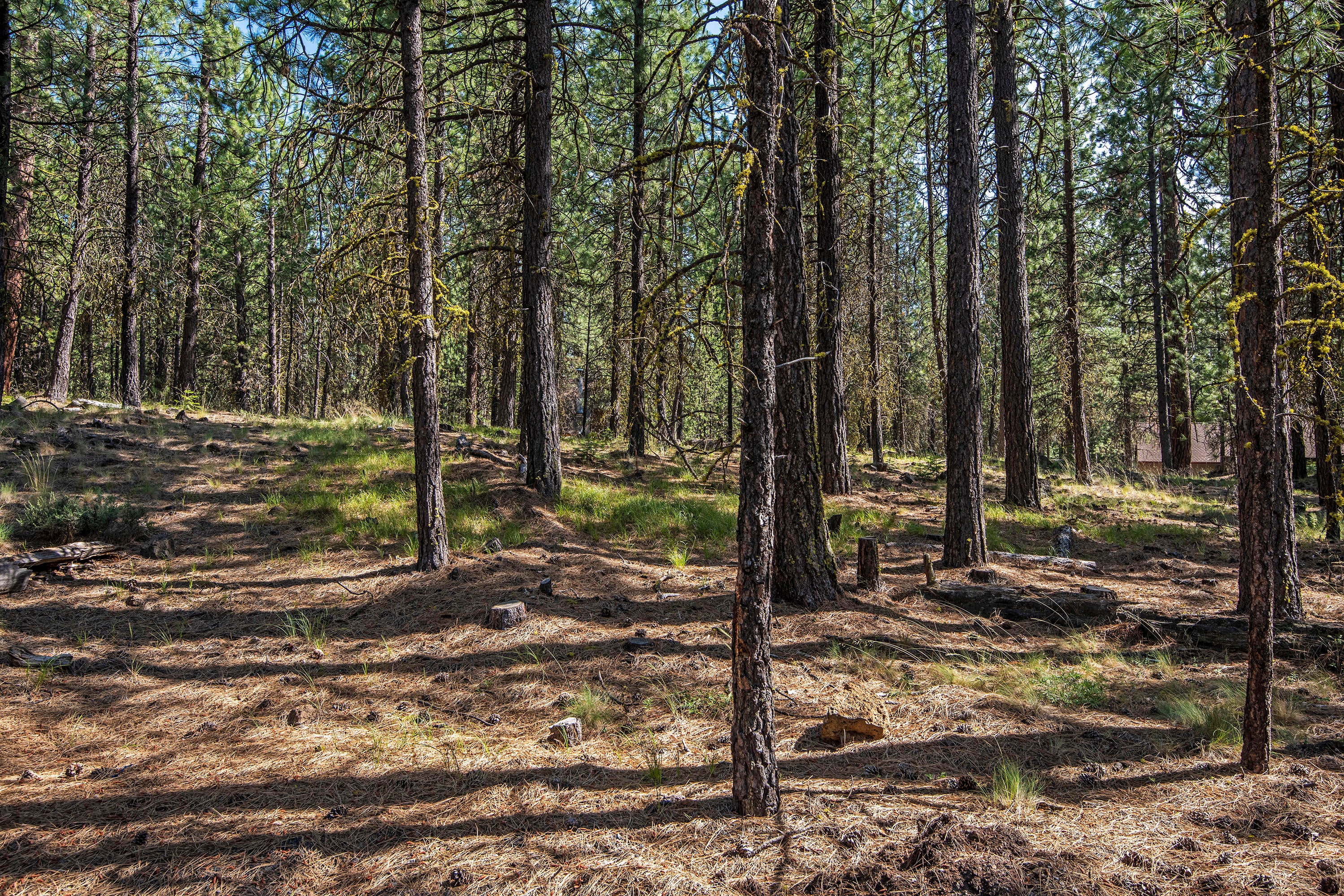 13759 Partridge Foot, Unit RR76 Black Butte Ranch, OR 97759 - Photo 15 of 31 Level 0.65 Acre Lot in Black Butte Ranch