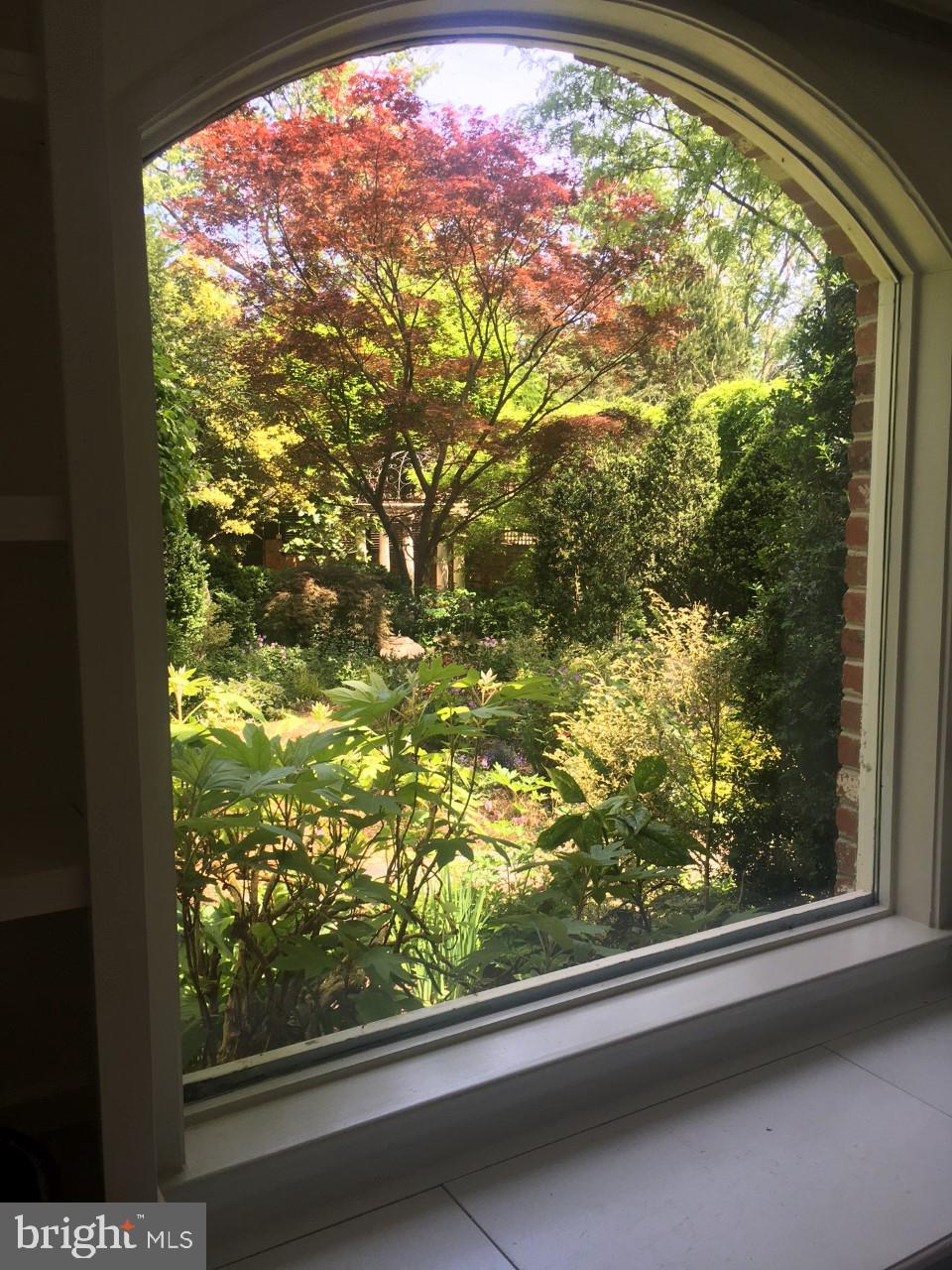 3743 Upton Street Northwest Washington, DC 20016 - Photo 14 of 35 Breakfast room window looking out on gardens