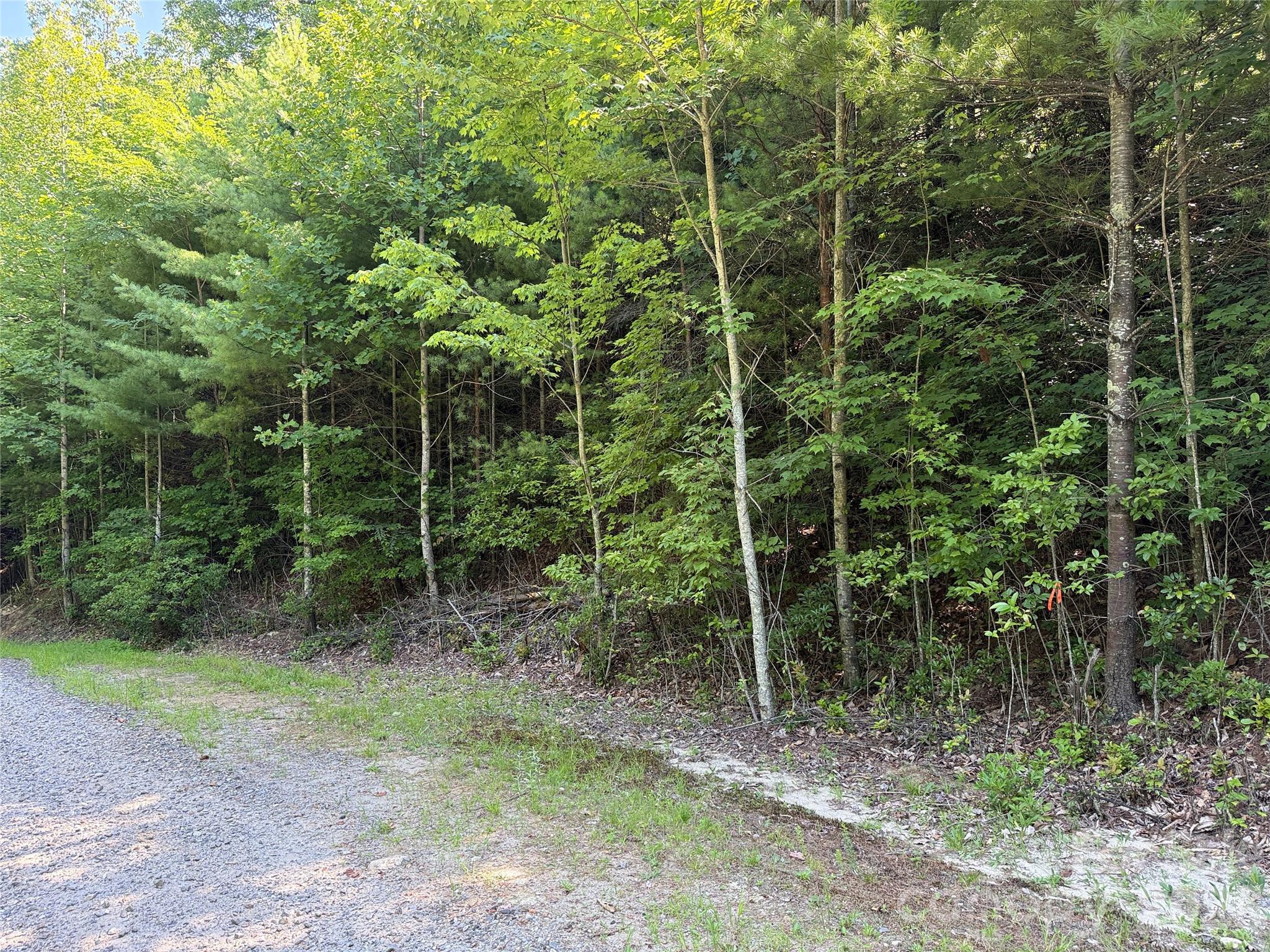 Tbd Blue Rock Road, Unit 171 & 172B Purlear, NC 28665 - Photo 18 of 44
