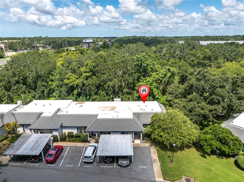 1377 McMullen Booth Road Clearwater, FL 33759 - Photo 24 of 42