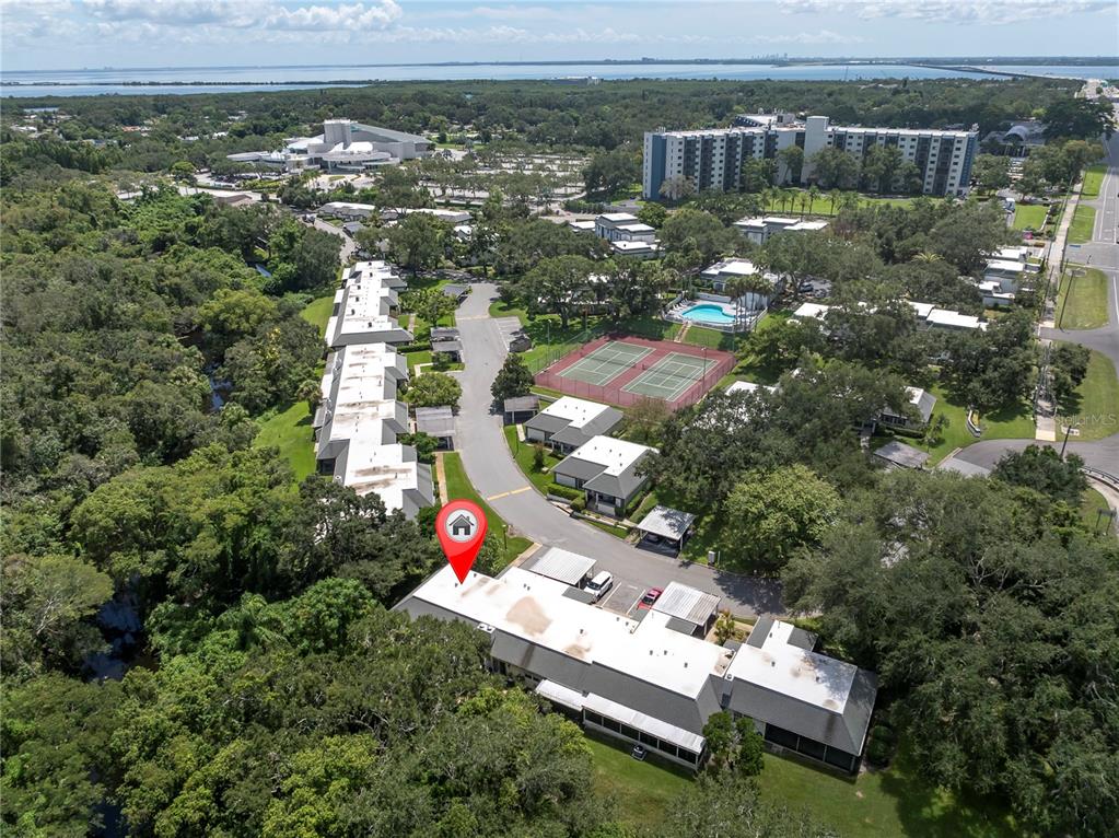 1377 McMullen Booth Road Clearwater, FL 33759 - Photo 26 of 42