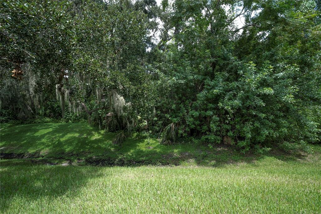 1377 McMullen Booth Road Clearwater, FL 33759 - Photo 30 of 42