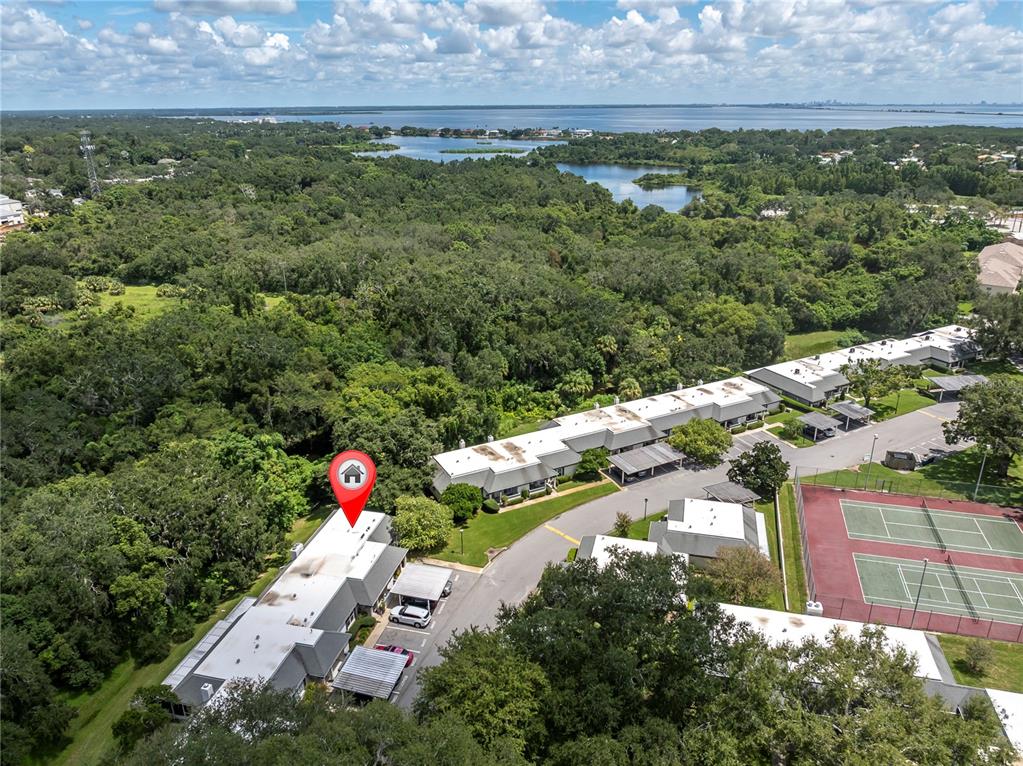 1377 McMullen Booth Road Clearwater, FL 33759 - Photo 3 of 42