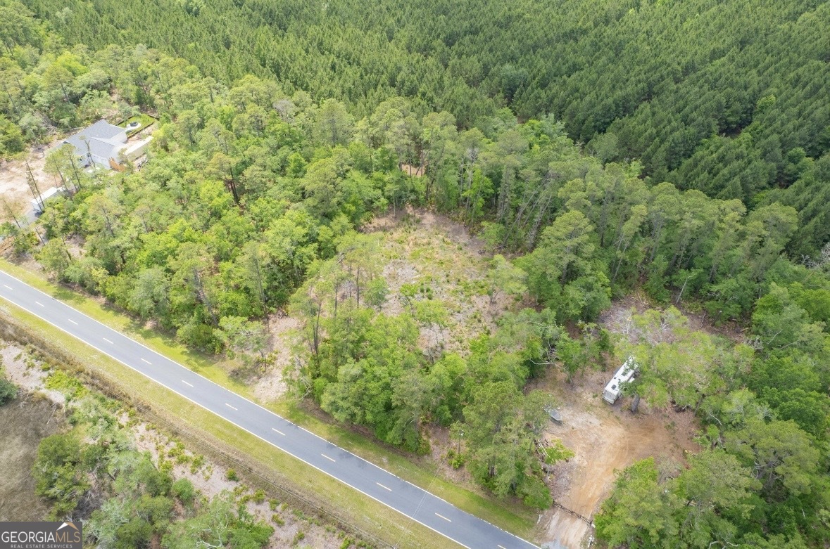 0 Piney Bluff Road Waverly, GA 31565 - Photo 25 of 26