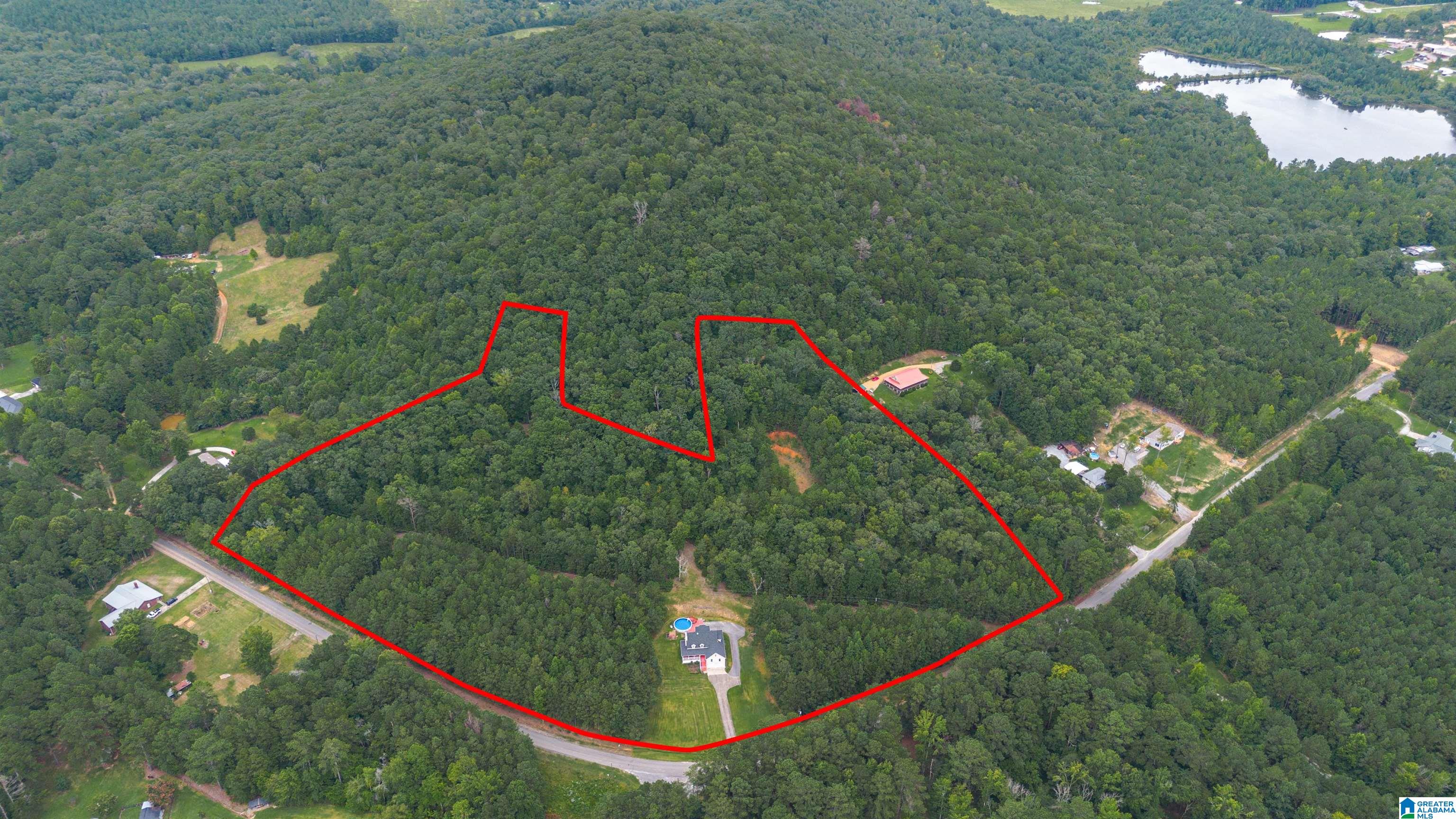 640 Youngs Chapel Road Piedmont, AL 36272 - Photo 6 of 50 Gallery Image 6