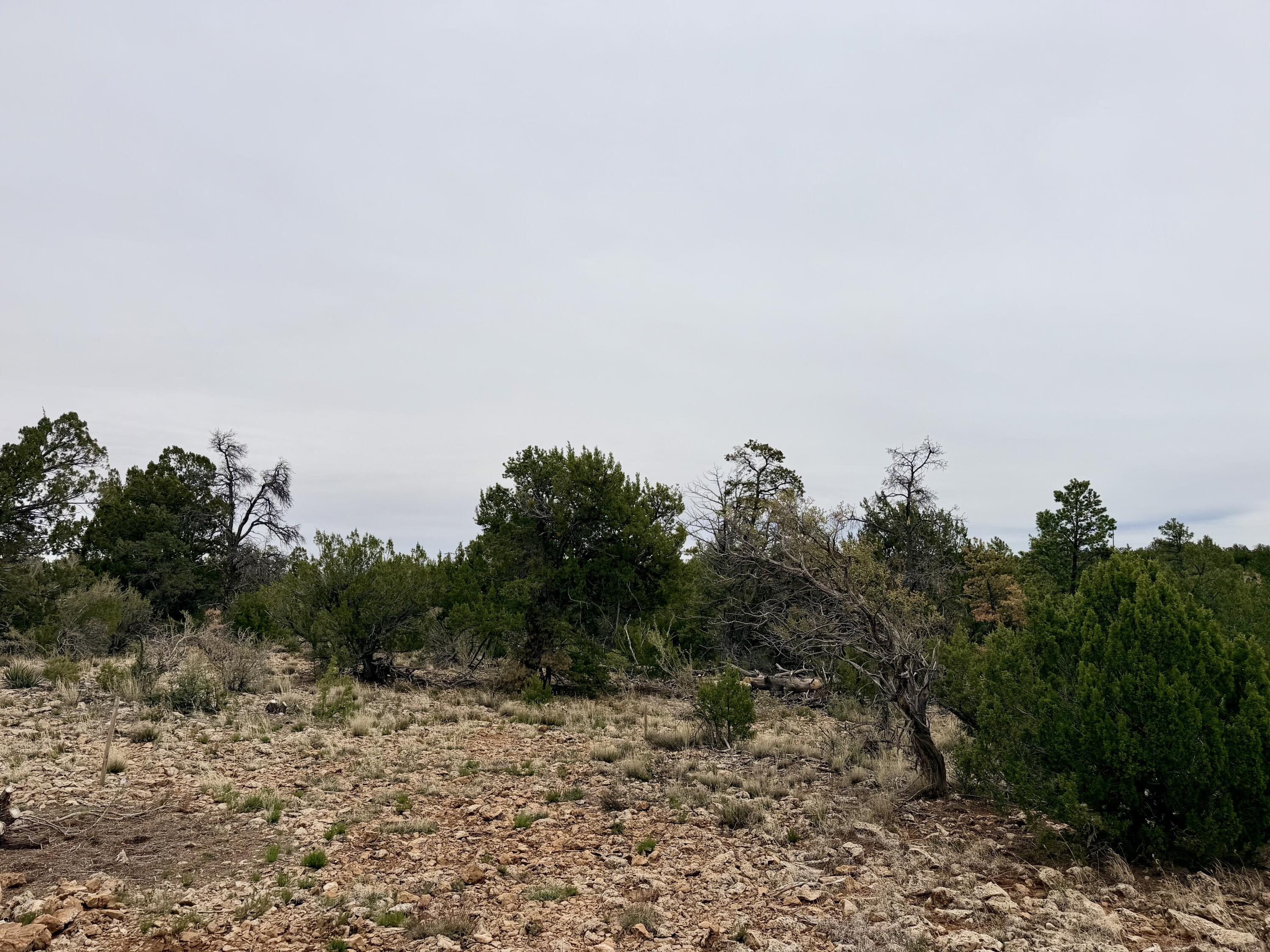 4918 Sunset Ridge Loop Happy Jack, AZ 86024 - Photo 6 of 12
