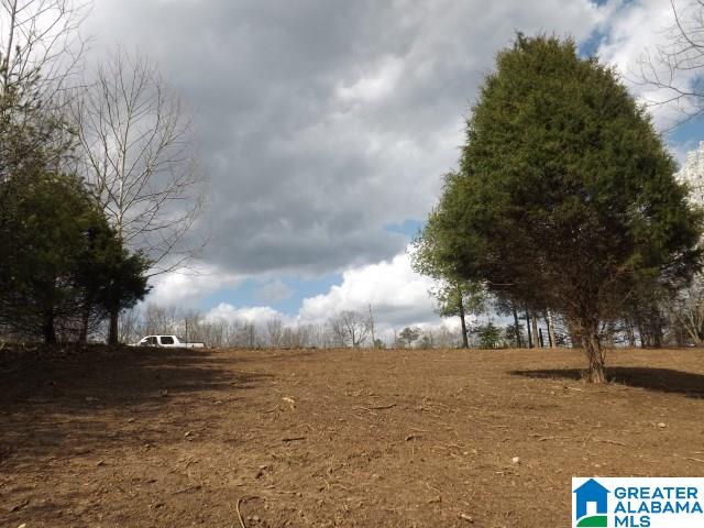 8455 Pine Mountain Road Springville, AL 35146 - Photo 21 of 39 Gallery Image 21