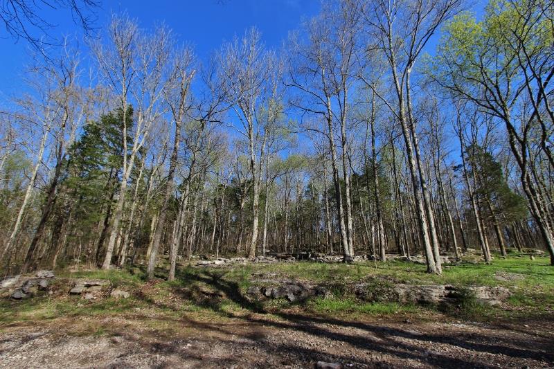 10200 Bluebird Road Watertown, TN 37184 - Photo 7 of 28