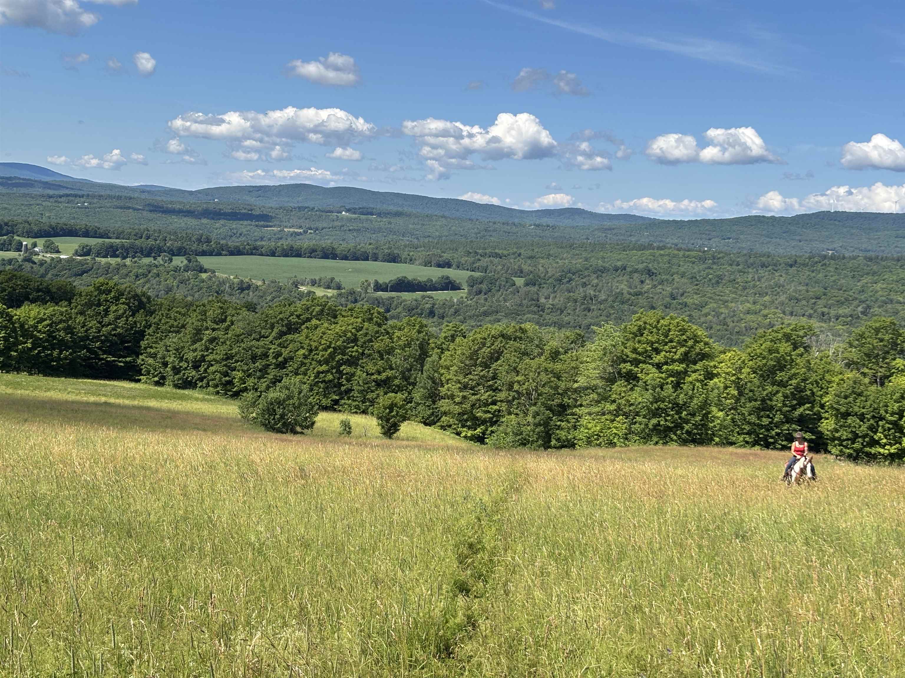 2354 East Ridge Road Sutton, VT 05871 - Photo 49 of 49