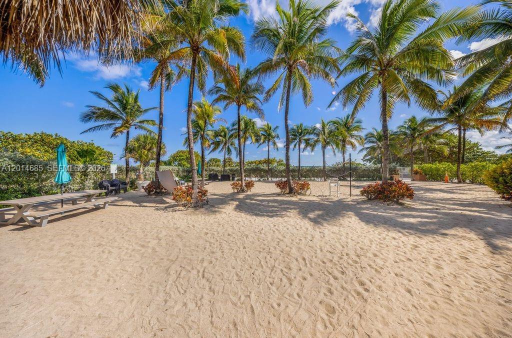 9172 Collins Avenue, Unit 212 Surfside, FL 33154 - Photo 17 of 23 a view of road with palm trees