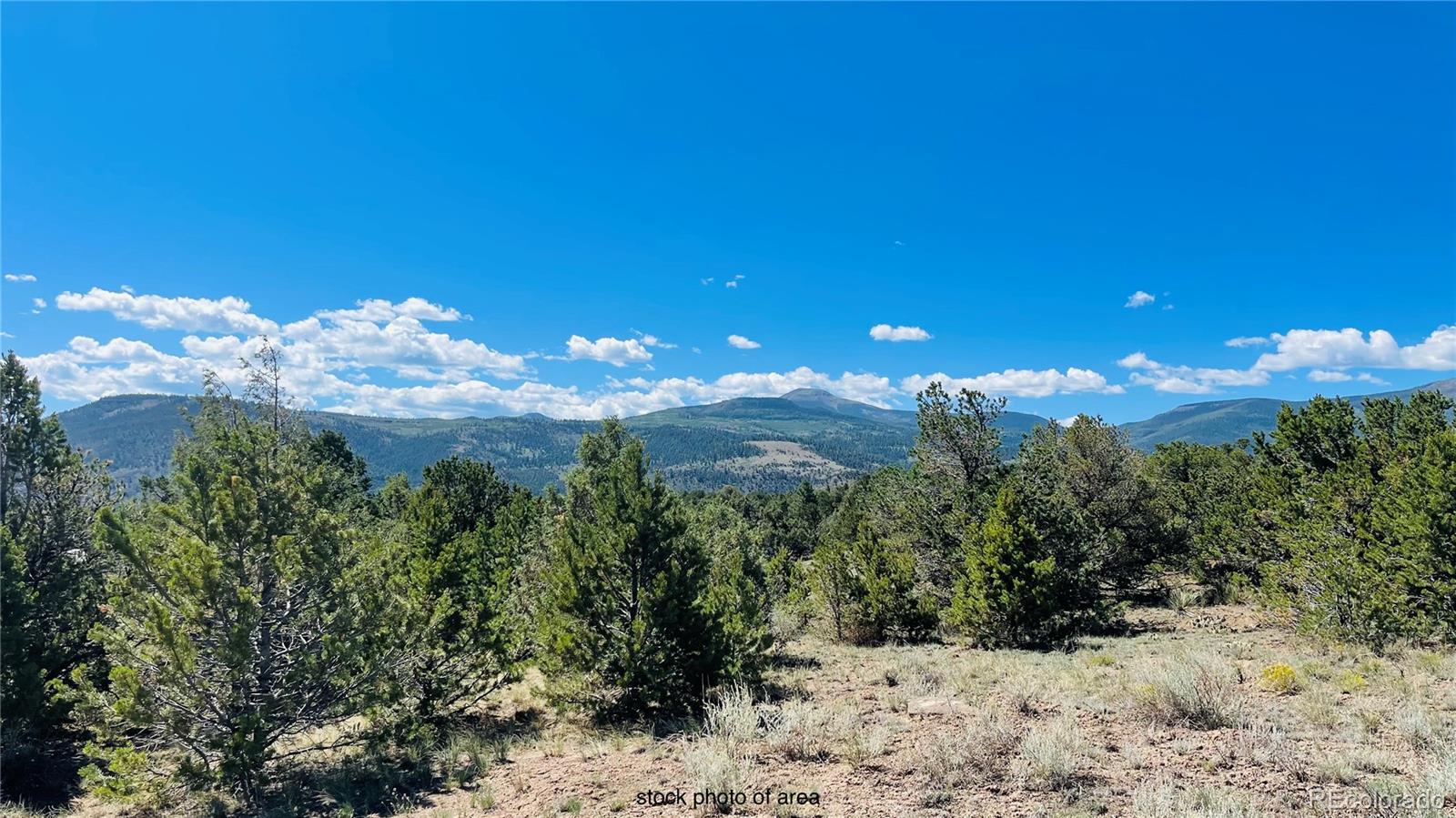 976 Kenosha Road South Fork, CO 81154 - Photo 4 of 8