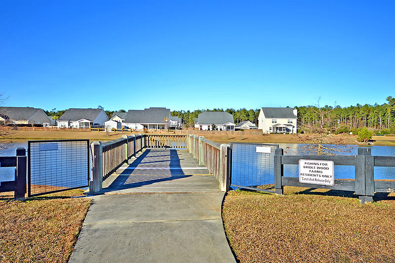 2134 Pimlico Drive Ridgeville, SC 29472 - Photo 35 of 38 DSC_0249-copy
