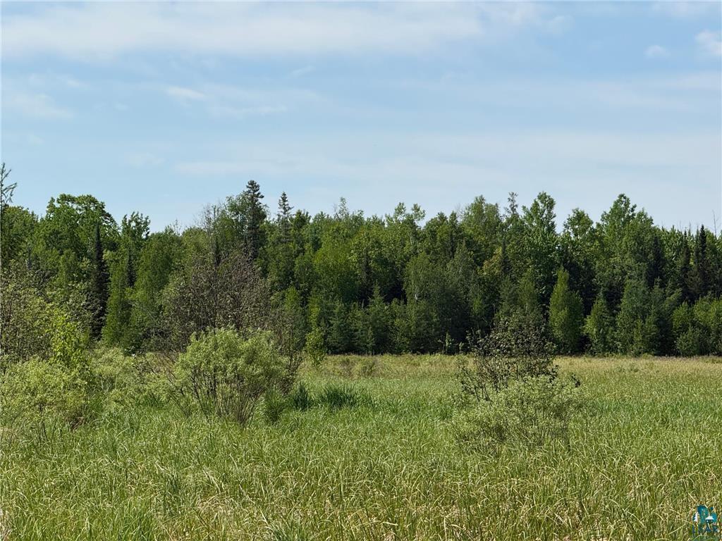 42330 Rutabaga Road Askov, MN 55704 - Photo 28 of 32