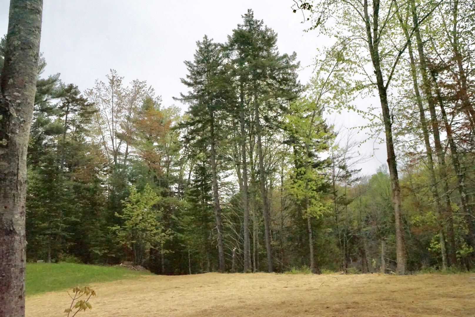 906 Royalsborough Road Durham, ME 04222 - Photo 31 of 71 LRG_DSC00834