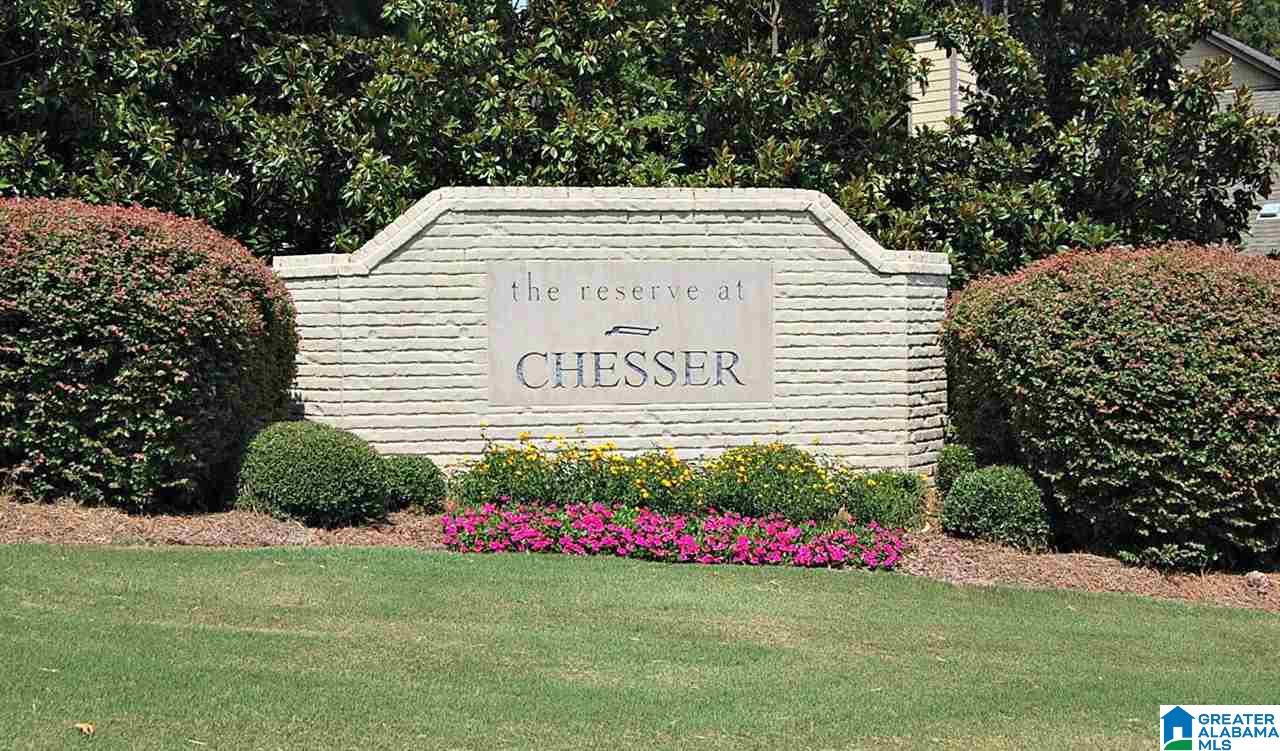 246 Chesser Loop Road Chelsea, AL 35043 - Photo 13 of 15
