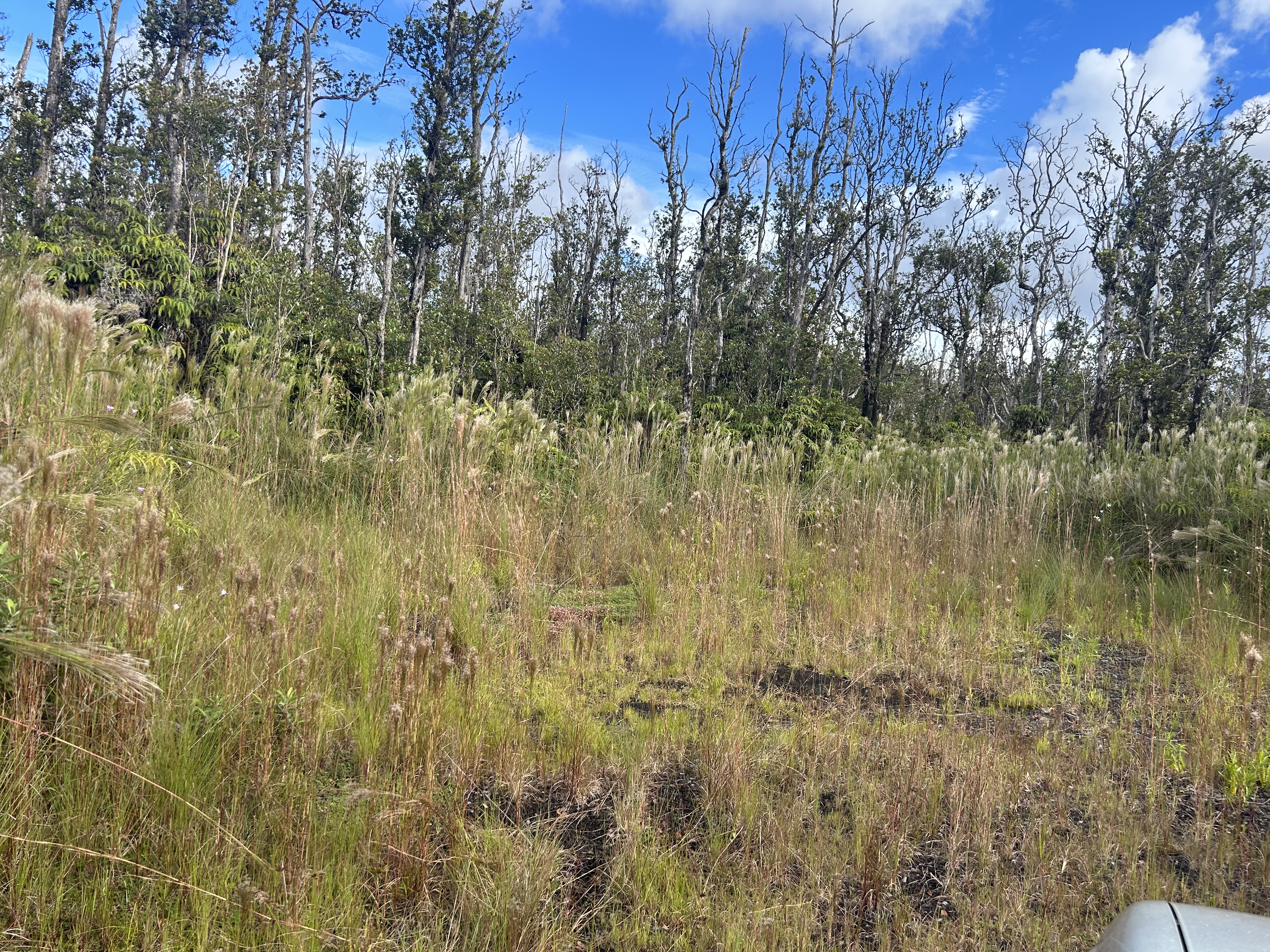 a view of lake with green space