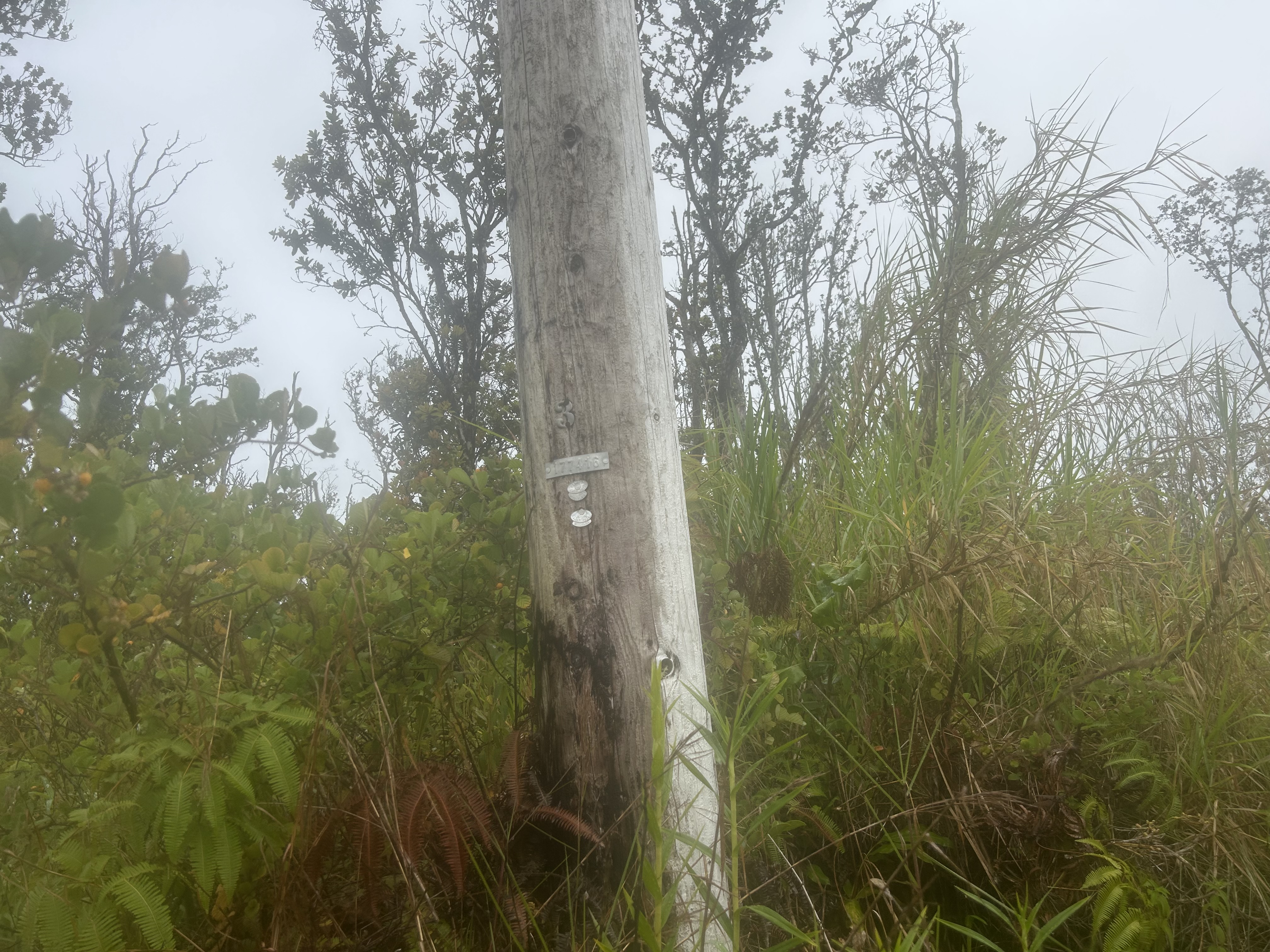 4 Ohialani Road Mountain View, HI 96771 - Photo 8 of 9 a view of a bathroom