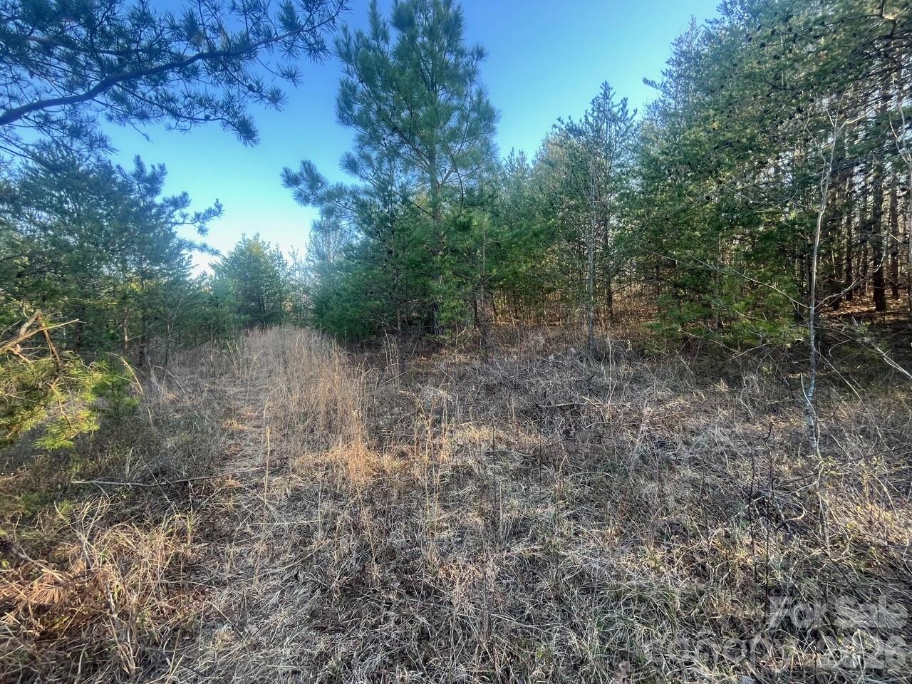 Tbd Southern Way Nebo, NC 28761 - Photo 9 of 22