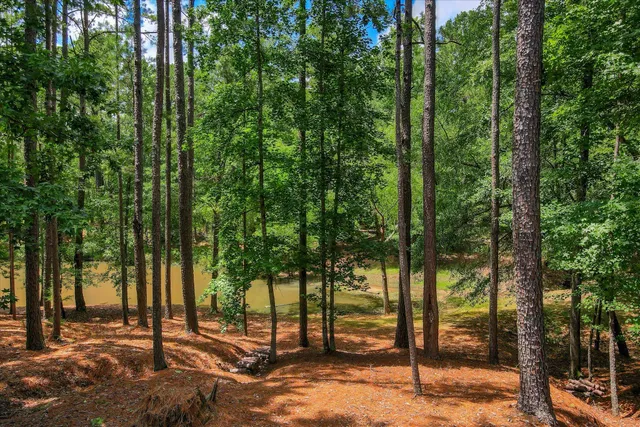 $1,100,000 | 3005 Timber Woods Drive, Appling, GA 30802