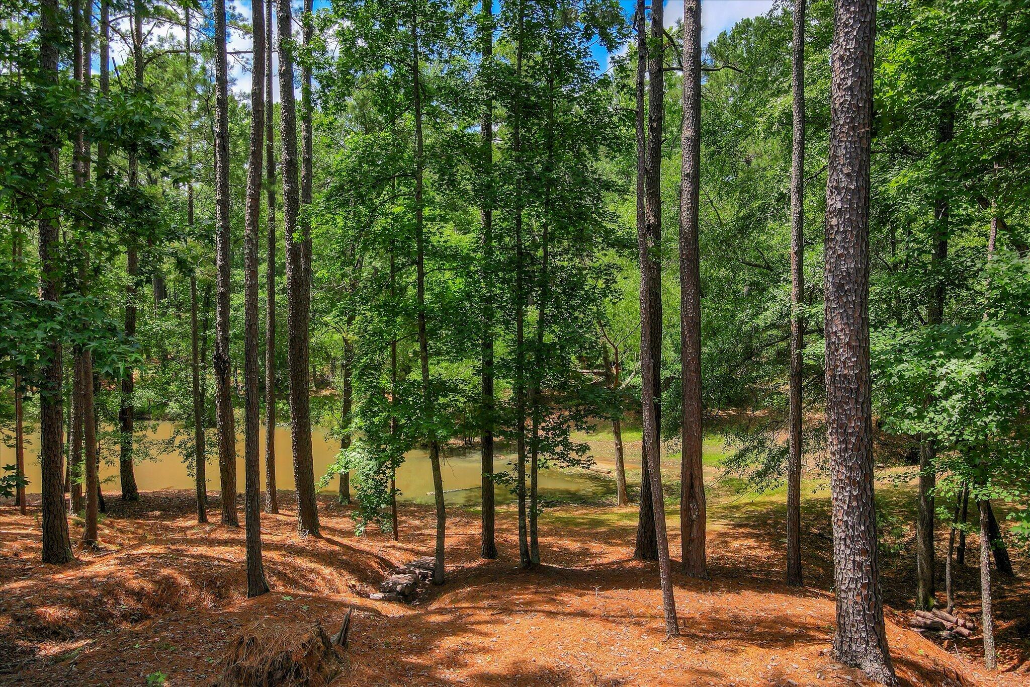 3005 Timber Woods Drive Appling, GA 30802 - Photo 75 of 75 86-186