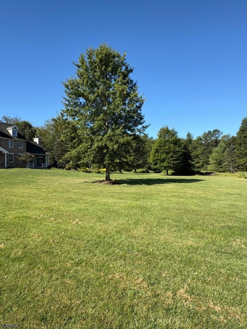 15 Opdyke Road Frenchtown, NJ 08825 - Photo 3 of 27