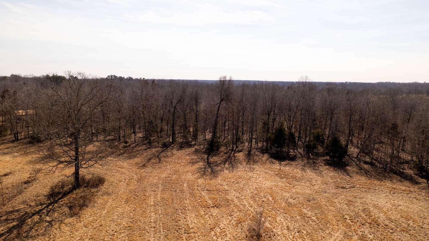 0 Pleasant Run Road Mammoth Spring, AR 72554 - Photo 23 of 35 329 acres 040