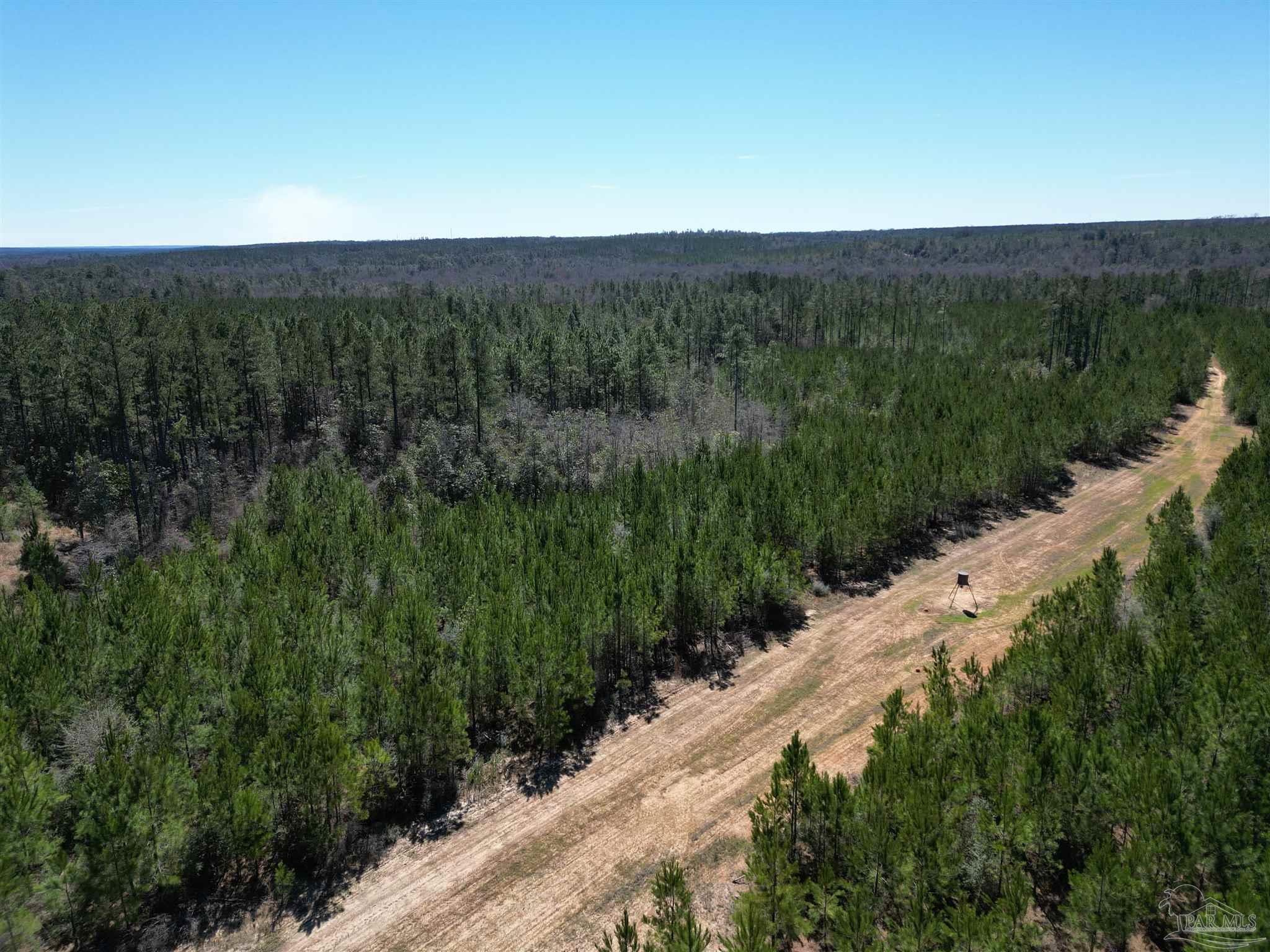 2 Robinsonville Road Atmore, AL 36502 - Photo 1 of 25 a view of a city with lush green forest