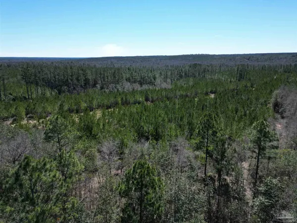 a view of a green field with lots of bushes