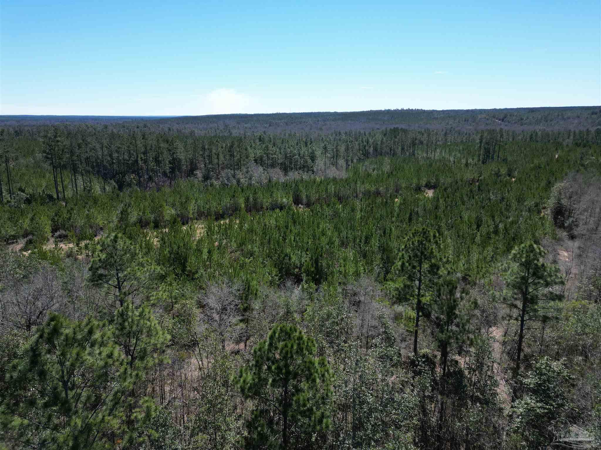 2 Robinsonville Road Atmore, AL 36502 - Photo 12 of 25 a view of a green field with lots of bushes