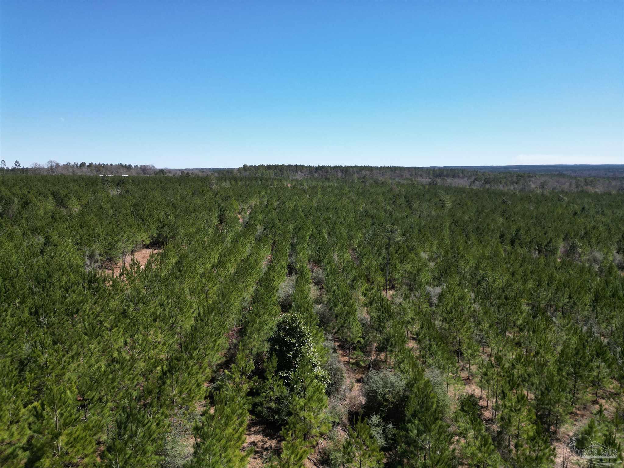 2 Robinsonville Road Atmore, AL 36502 - Photo 14 of 25 a view of a green field