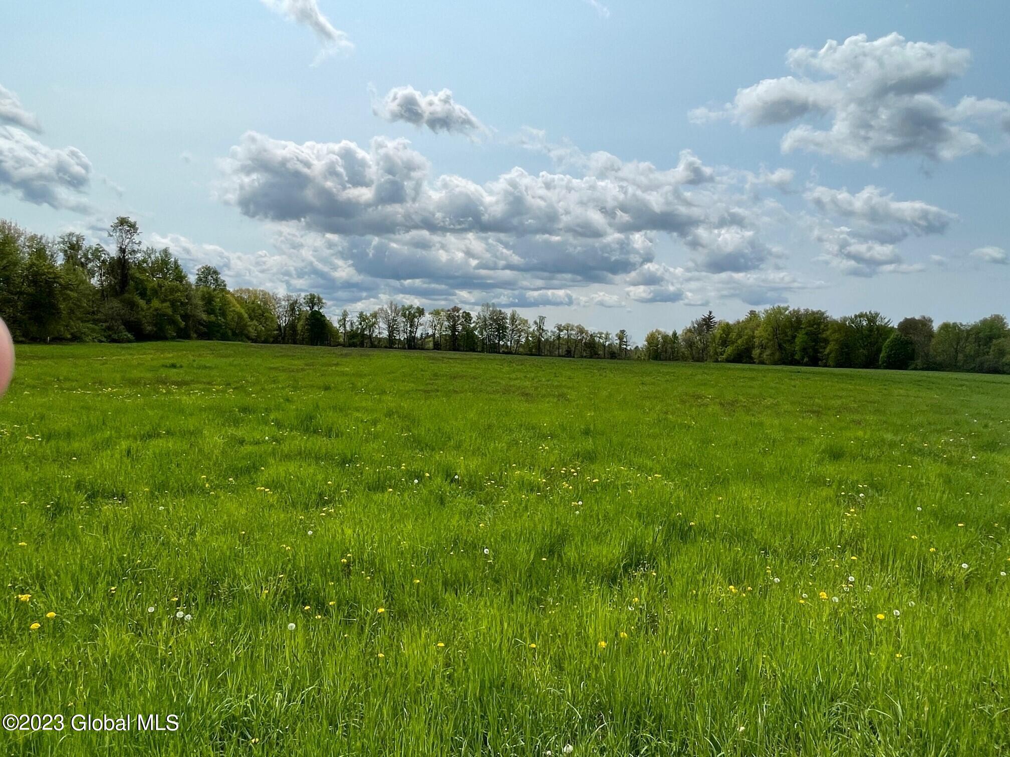 124 Cheese Factory Road Greenwich, NY 12834 - Photo 44 of 46 124a