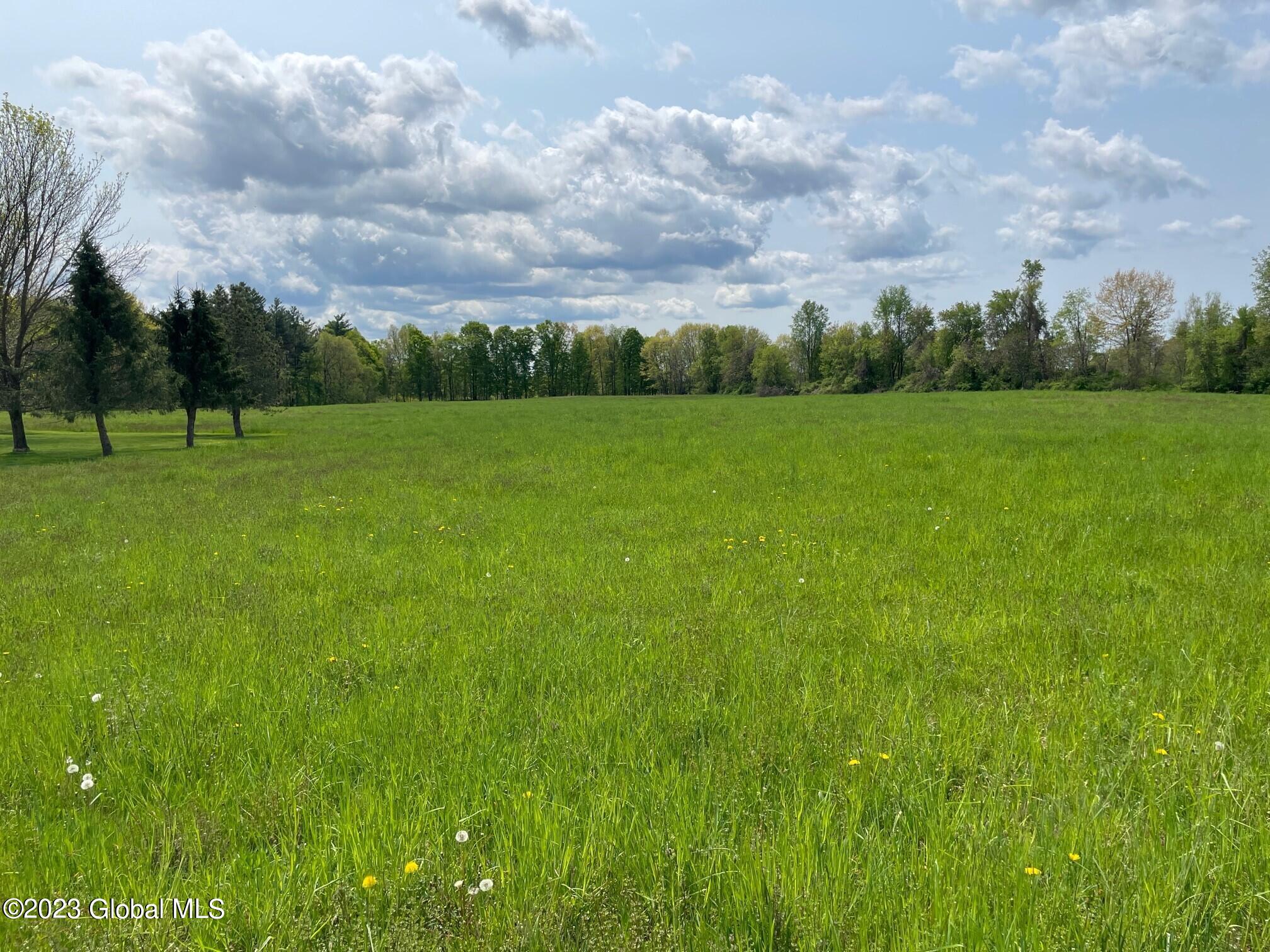124 Cheese Factory Road Greenwich, NY 12834 - Photo 45 of 46 124b