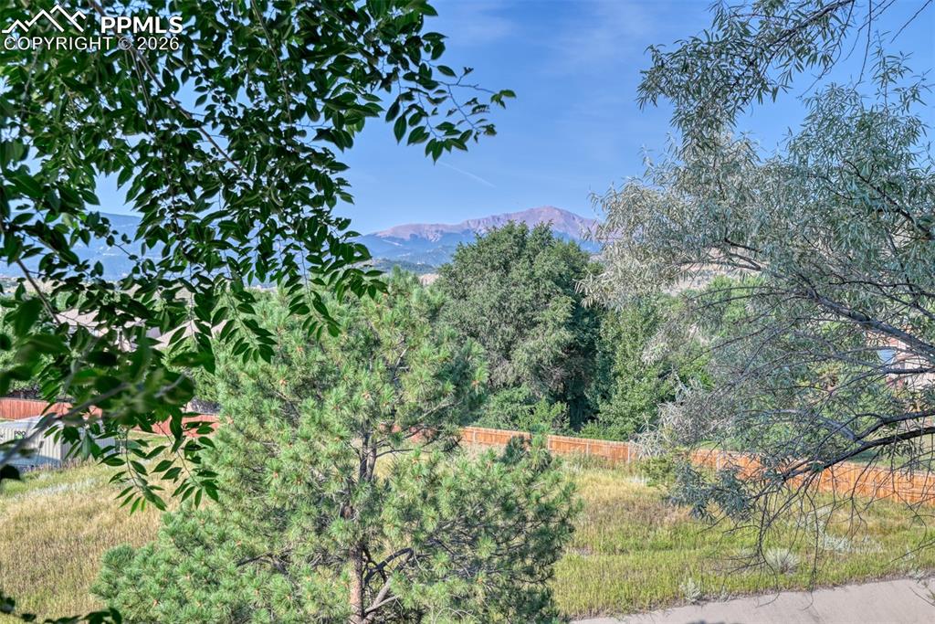 1591 Territory Trail Colorado Springs, CO 80919 - Photo 13 of 13 a view of a yard with a tree