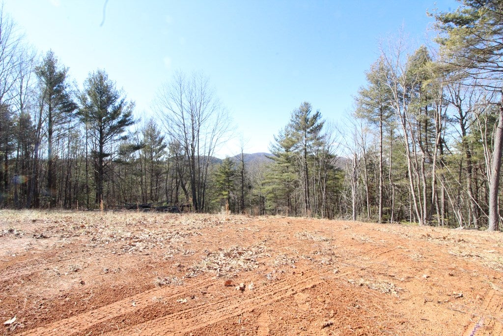 Tbd Ivanhoe Road, Unit 60A34 Fries, VA 24330 - Photo 35 of 45 Gallery Image 35