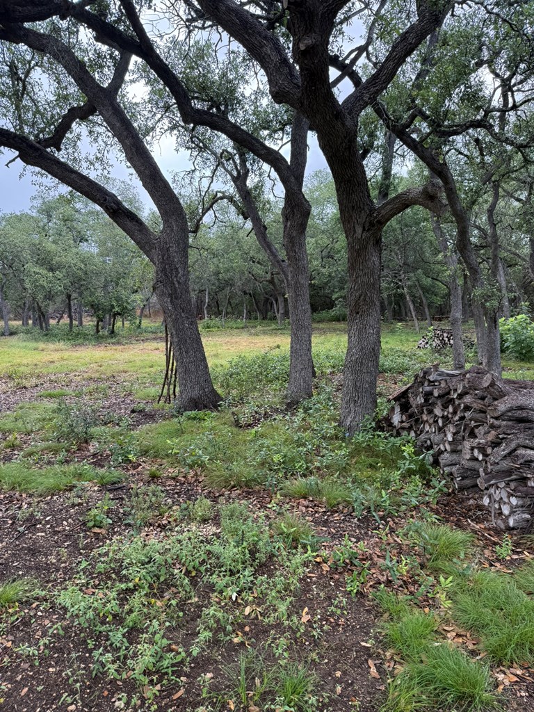 589 Rolling Hills Road, Unit 4B Blanco, TX 78606 - Photo 8 of 16