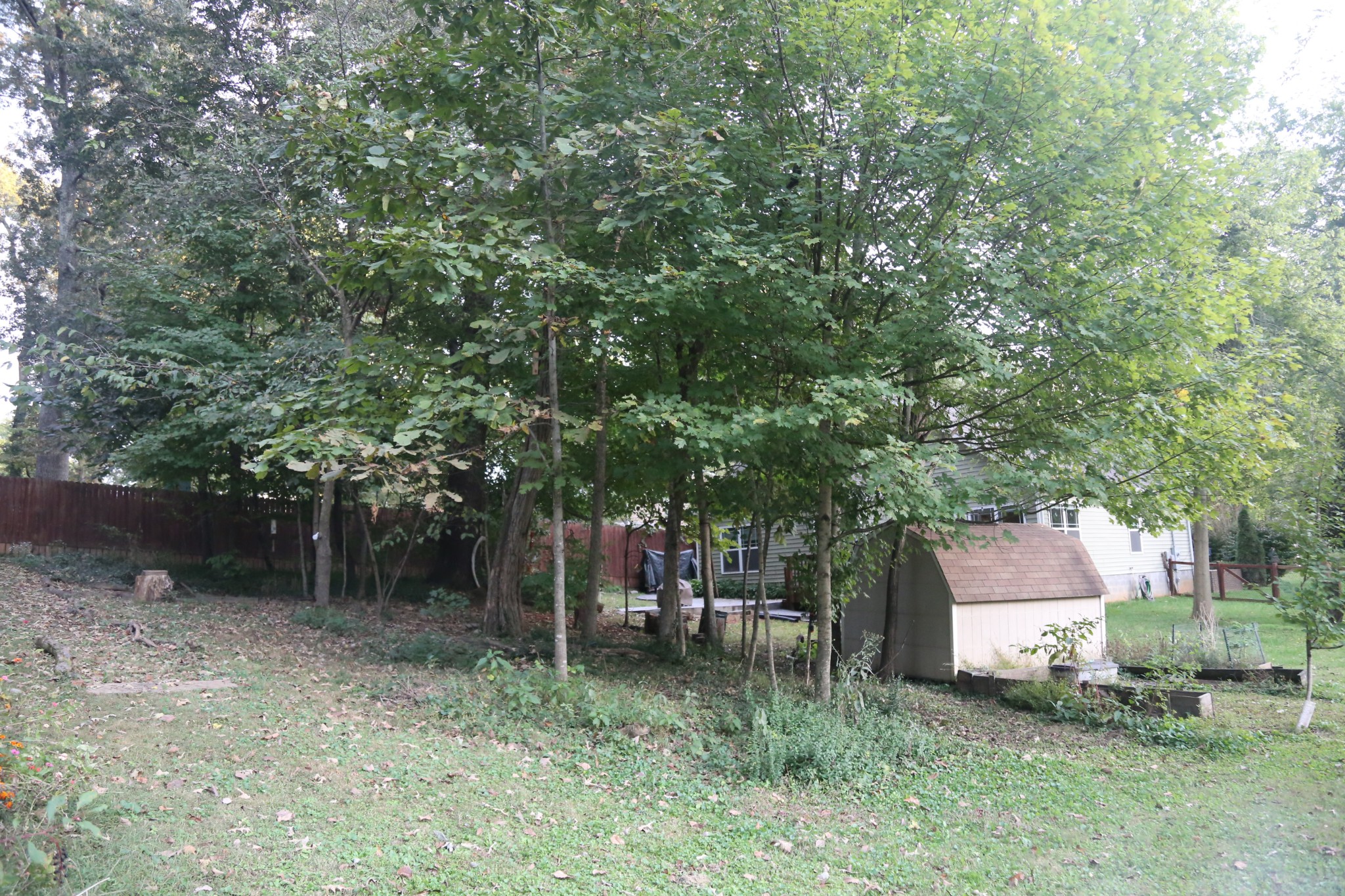 209 Shiloh Road Clarksville, TN 37042 - Photo 15 of 16 Gallery Image 15