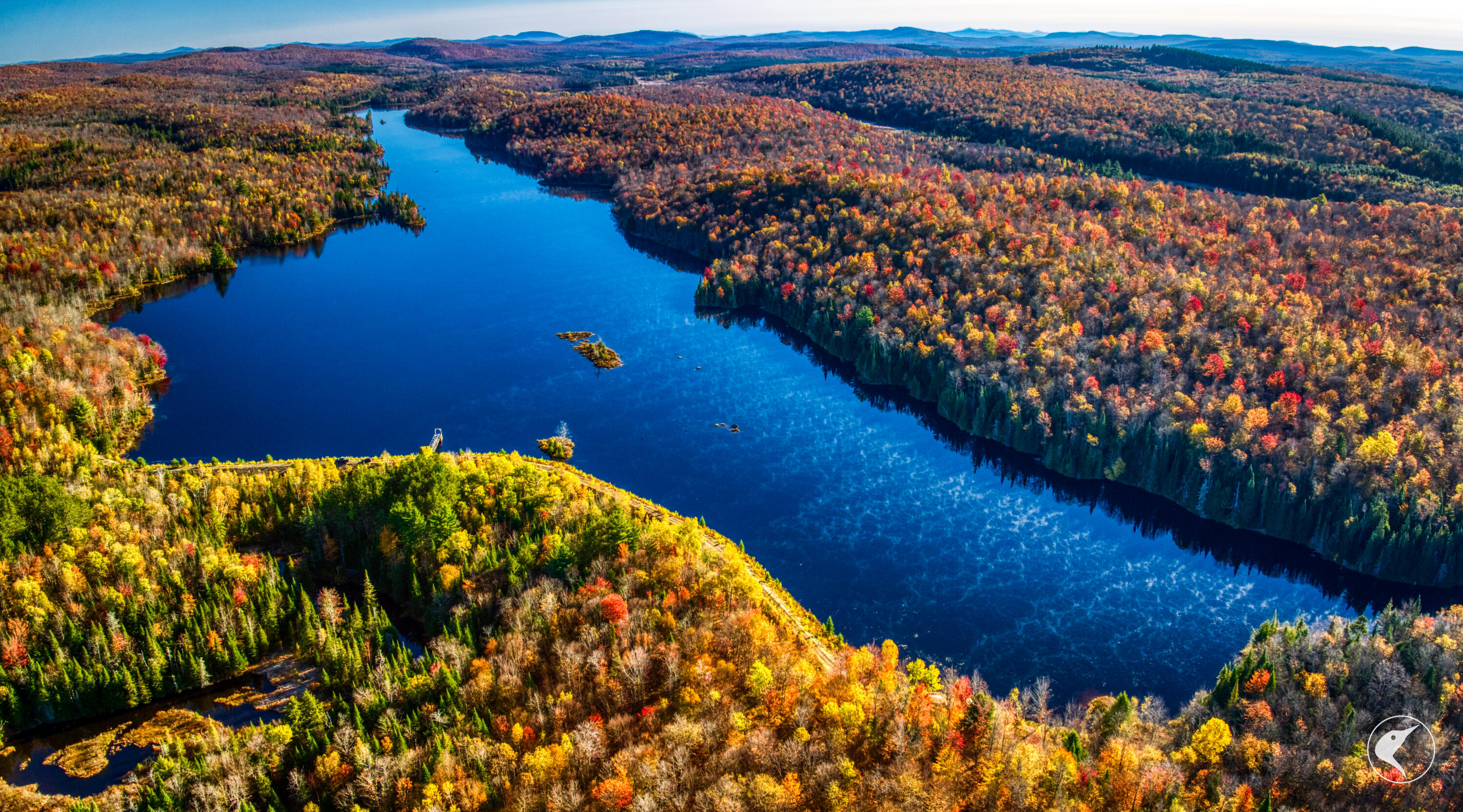 4891 State Rte 3 Newton Falls, NY 13666 - Photo 4 of 41 DJI_20241018093908_0229_D