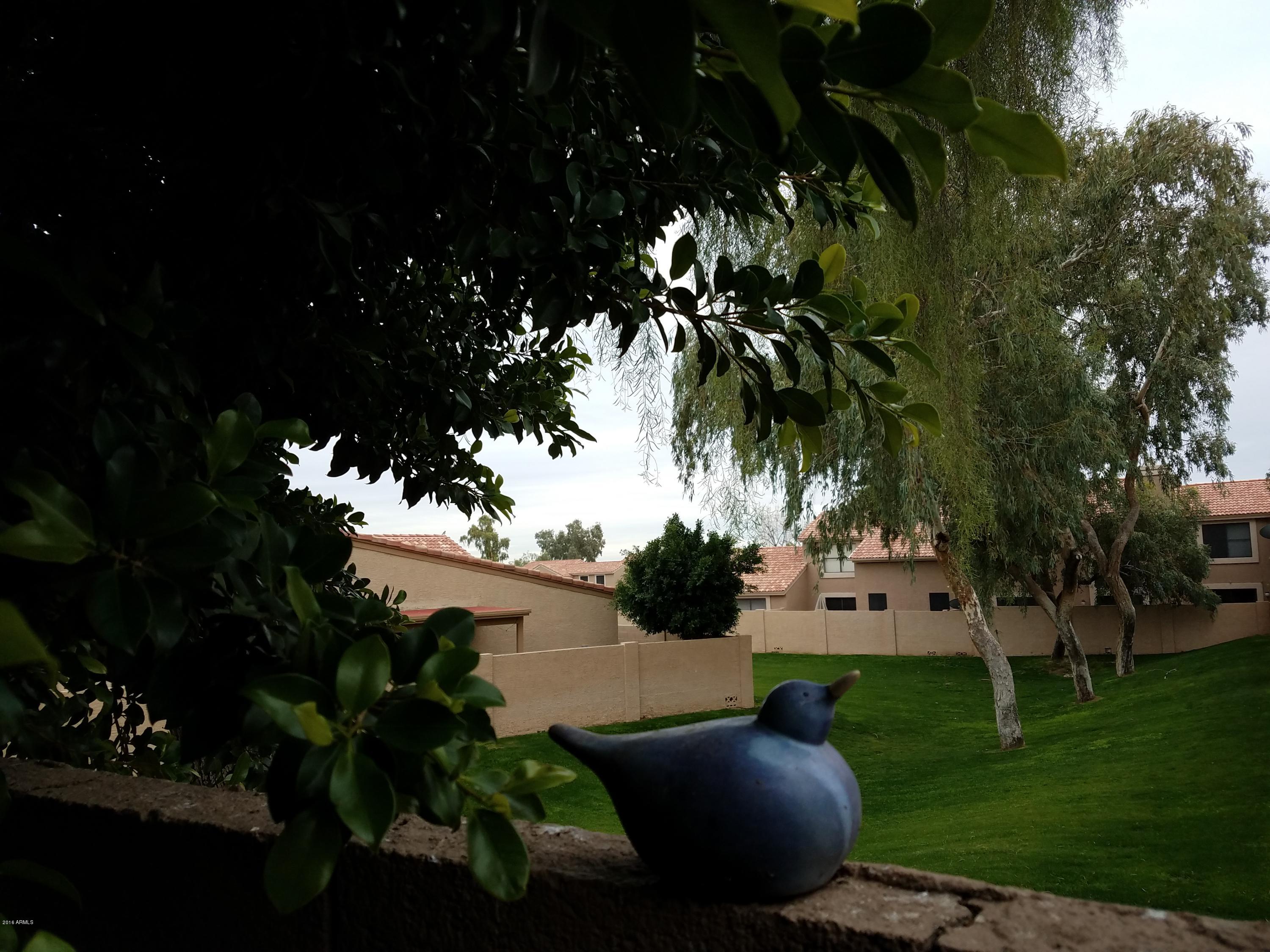 4123 East Agave Road Phoenix, AZ 85044 - Photo 46 of 48 20170103_144715