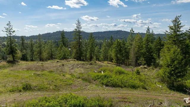 $445,000 | Nka Julia Drive, Post Falls, ID 83854