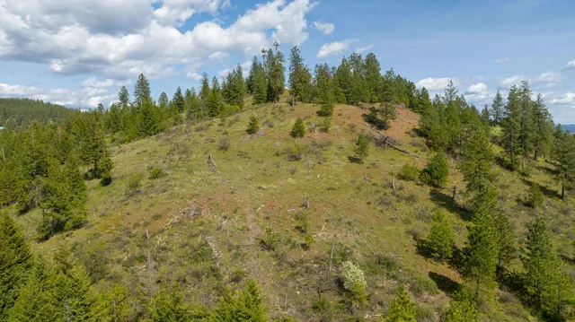 $445,000 | Nka Julia Drive, Post Falls, ID 83854