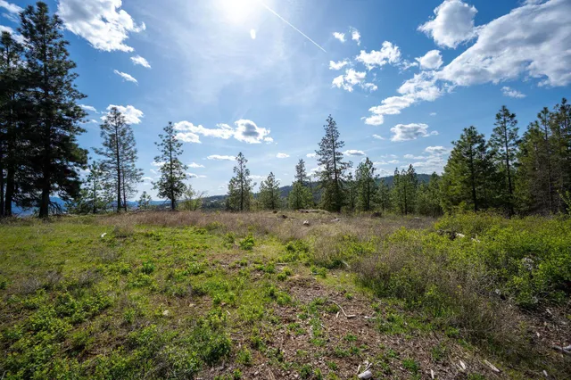 $445,000 | Nka Julia Drive, Post Falls, ID 83854