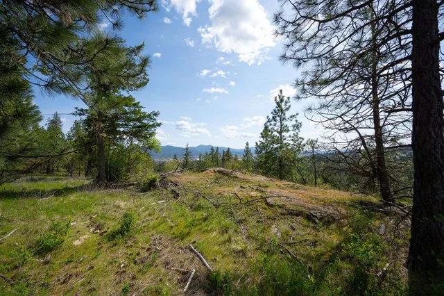 $445,000 | Nka Julia Drive, Post Falls, ID 83854