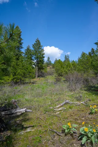 $445,000 | Nka Julia Drive, Post Falls, ID 83854