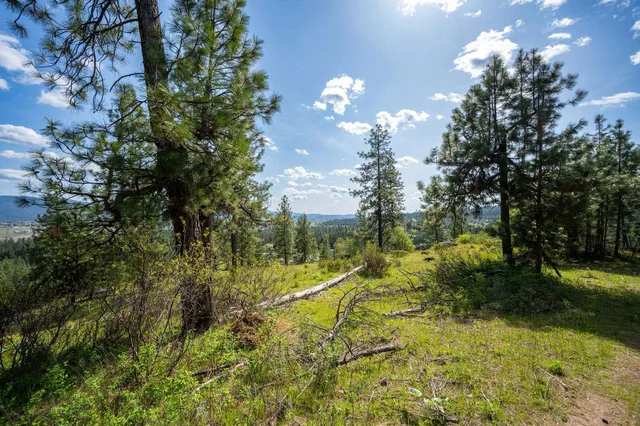 $445,000 | Nka Julia Drive, Post Falls, ID 83854