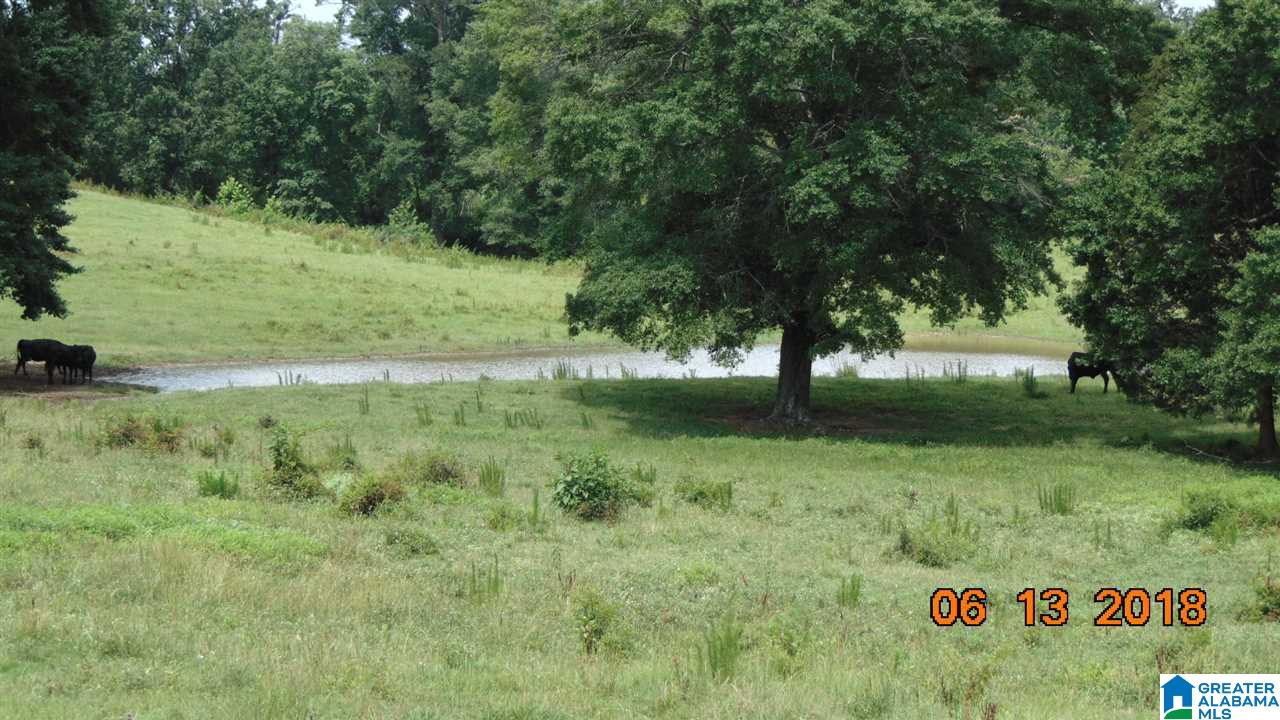 0 West Ashby Road Brierfield, AL 35035 - Photo 8 of 22