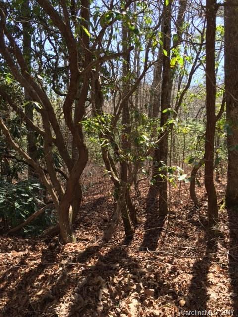 1-r4 Nottingham Road, Unit A1 Brevard, NC 28712 - Photo 1 of 11 Gallery Image 1