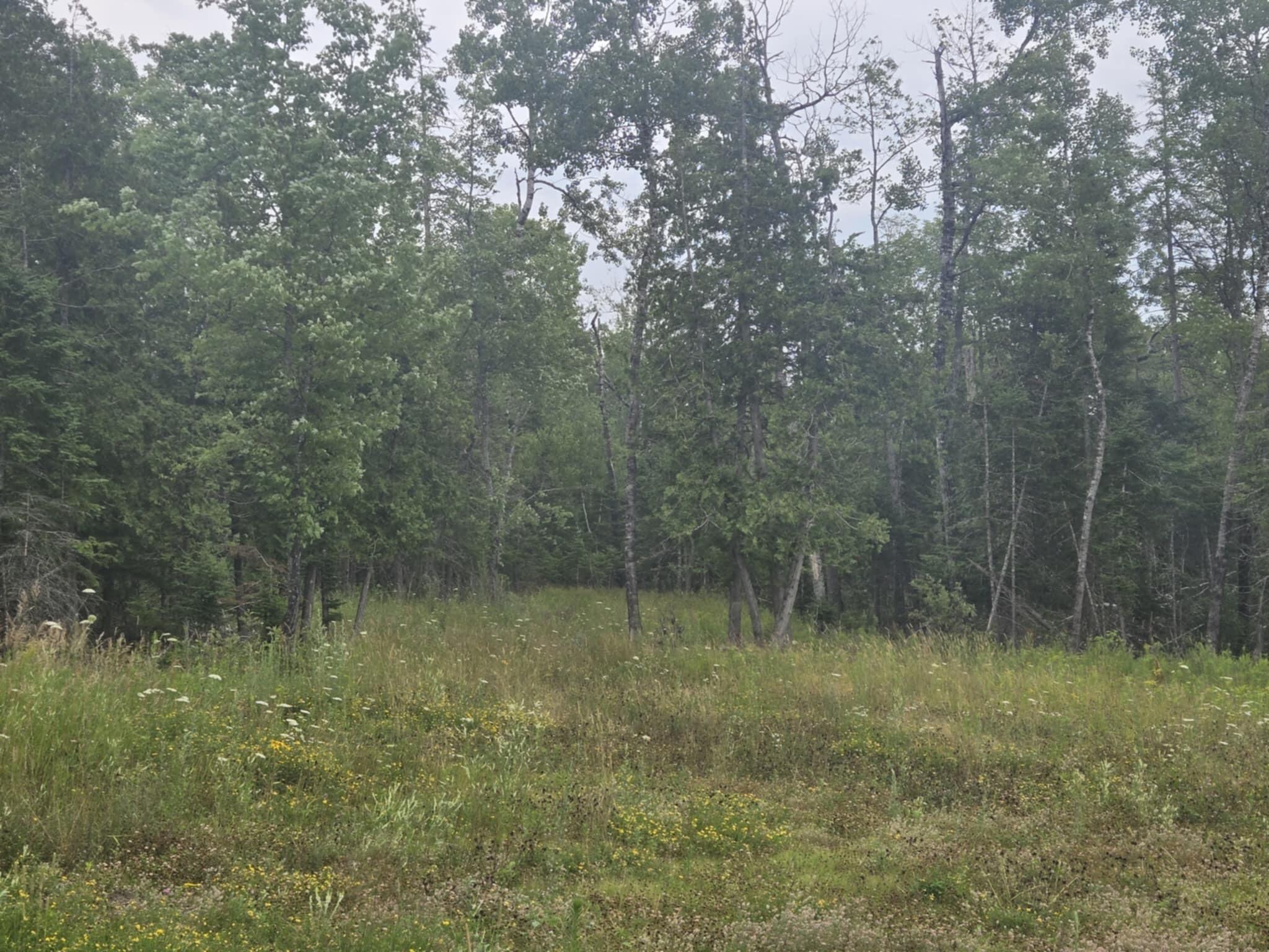 0 Lambert Rd(map 4-14 & 4-14-01) Brewer, ME 04412 - Photo 2 of 16